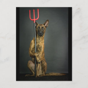 halloween dog- devil postcard