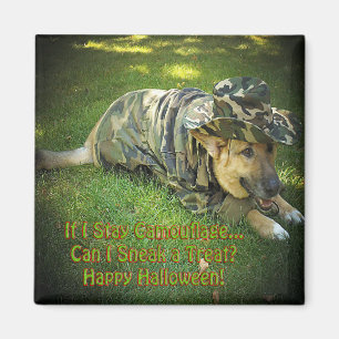 Halloween Dog in Camouflage Magnet