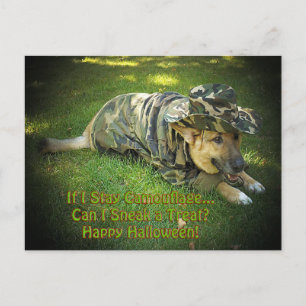 Halloween Dog in Camouflage Postcard