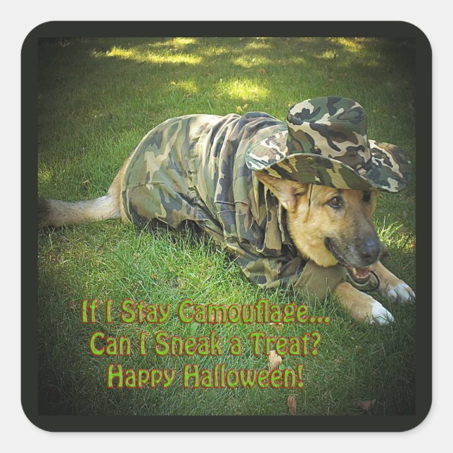 Halloween Dog in Camouflage Square Sticker (Front)