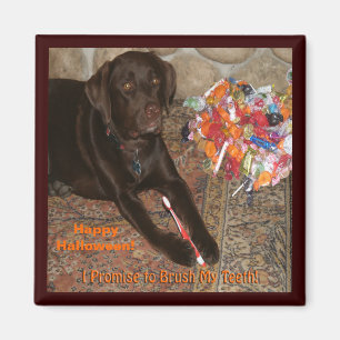 Halloween Dog with Sweet Tooth Magnet