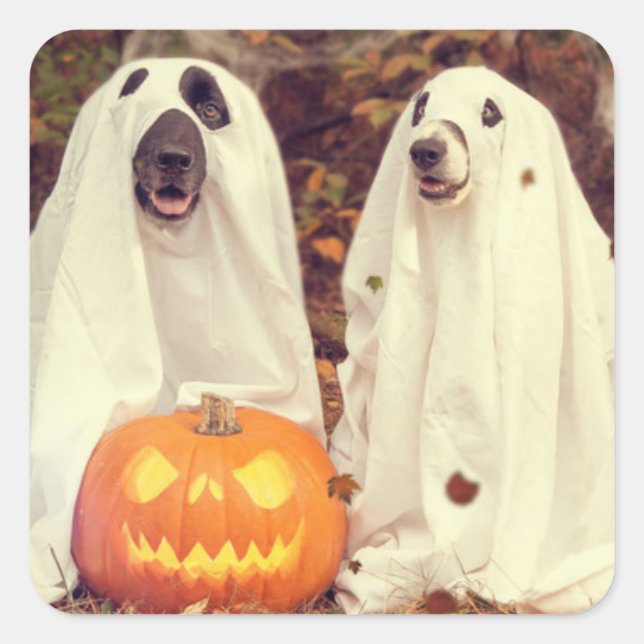 HALLOWEEN DOGS AS GHOSTS SQUARE STICKER (Front)