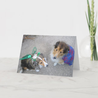 Halloween Dogs Greeting Card