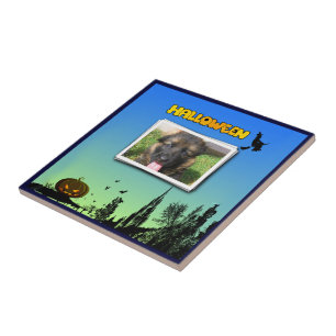 Halloween Dusk with Witch Add Photo Frame Tile
