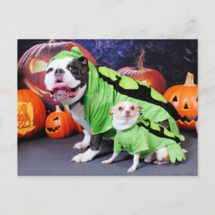 Halloween English Bulldog Spike - Chihuahua Gizmo Postcard