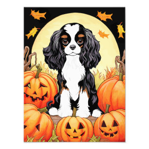 Halloween, Fall-Themed, Tri Colour Cavalier Spanie Photo Print