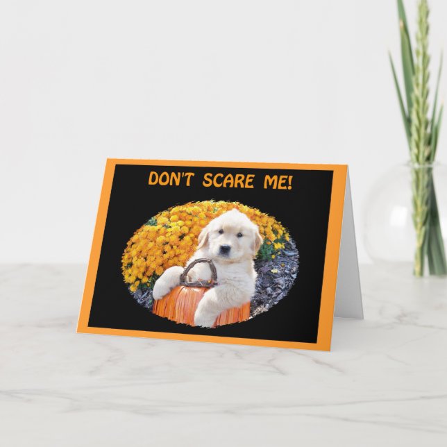 Halloween Funny Puppy Witch T-Shirts & Gift Items Card (Front)