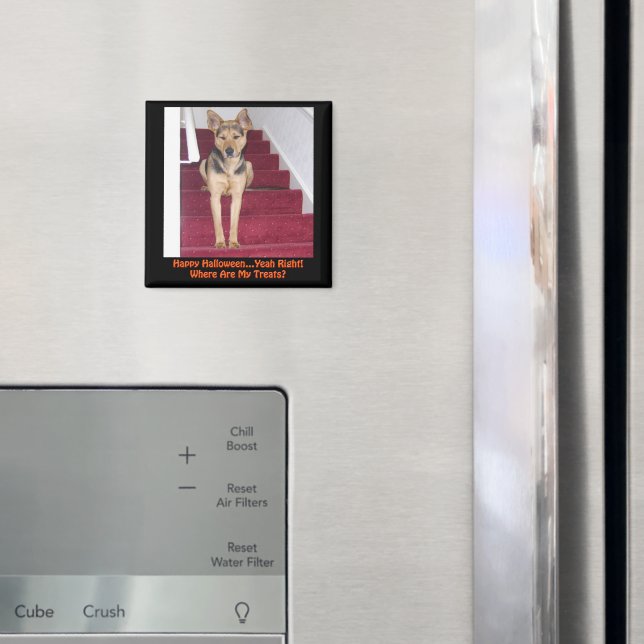 Halloween German Shepherd Dog No Treats Magnet (In Situ (Fridge))