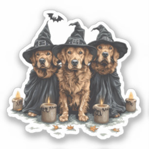 Halloween Golden Retriever Dogs Jack O Lantern