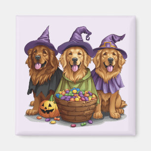 Halloween Golden Retriever Witch Dogs Magnet