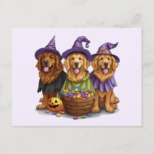 Halloween Golden Retriever Witch Dogs Postcard