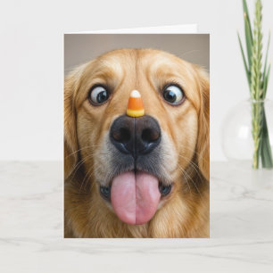 Halloween Golden Retriever With Candy Corn Card