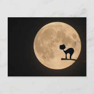 Halloween gothic black cat with full moon postcard