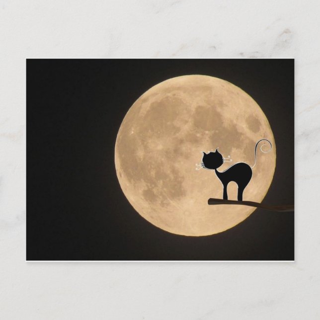 Halloween gothic black cat with full moon postcard (Front)