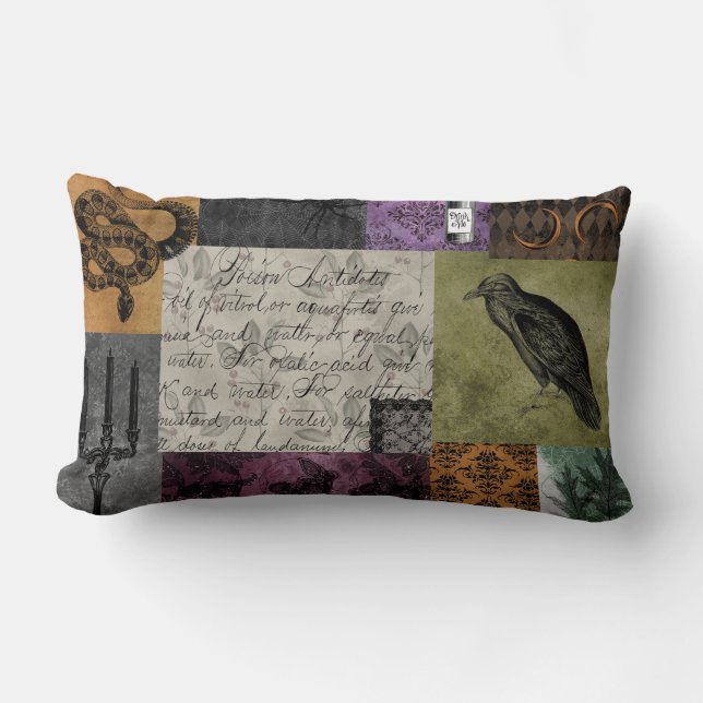 Halloween Gothic Medieval Spooky Apothecary Art Lumbar Pillow (Front)