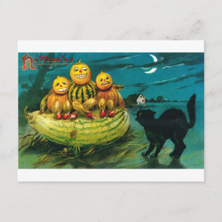 Halloween Gourd Peopl and Cat Postcard