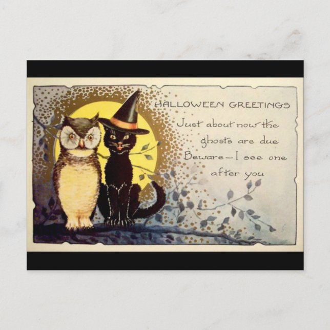 Halloween Greetings Postcard (Front)