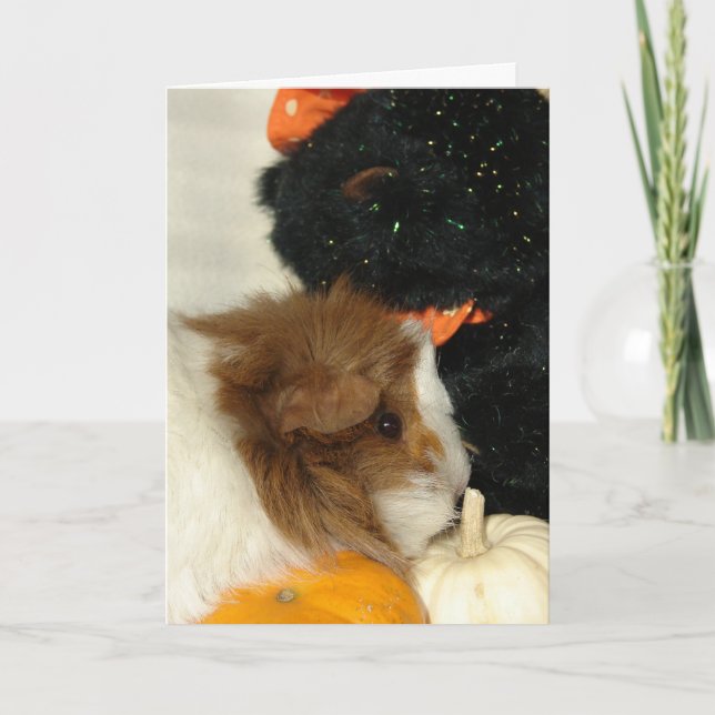 Halloween Guinea Pig Card (Front)