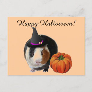 Halloween Guinea Pig Postcard