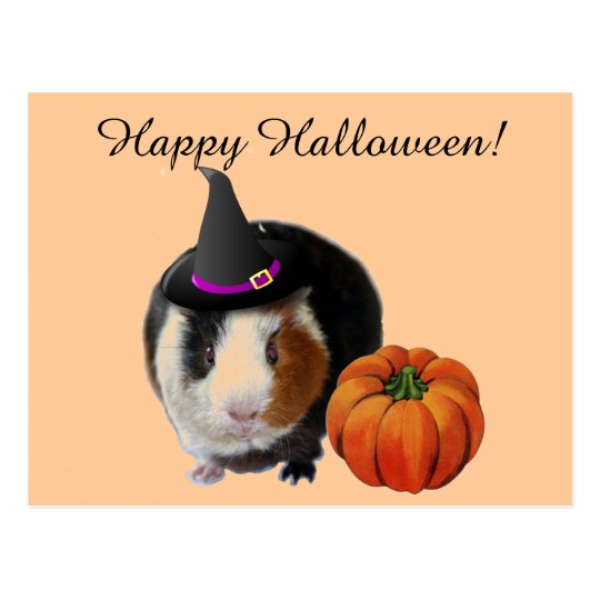 Halloween Guinea Pig Postcard