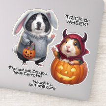 Halloween Guinea Pigs, Bunny and Devil Costume
