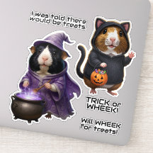 Halloween Guinea Pigs, Witch and Kitty Costume