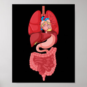 Halloween  Internal Organ Diagram Anatomy  Poster