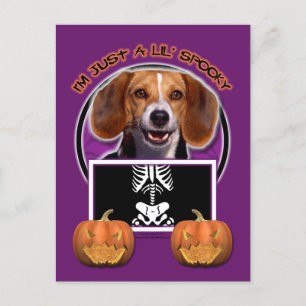 Halloween - Just a Lil Spooky - Beagle Postcard