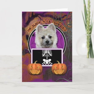 Halloween - Just a Lil Spooky - Cairn - Teddy Bear Card