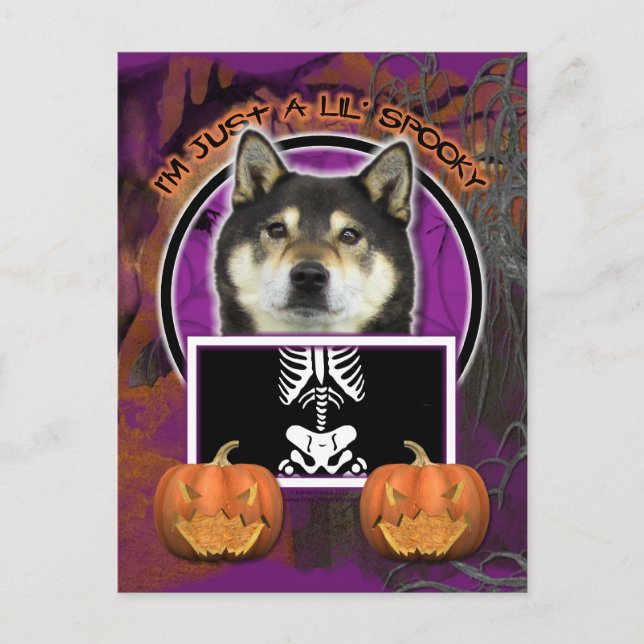 Halloween - Just a Lil Spooky - Shiba Inu - Yasha Postcard (Front)