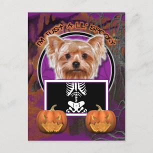 Halloween - Just a Lil Spooky - Yorkie Postcard