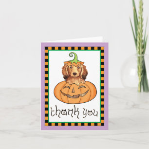 Halloween Longhaired Dachshund Thank You