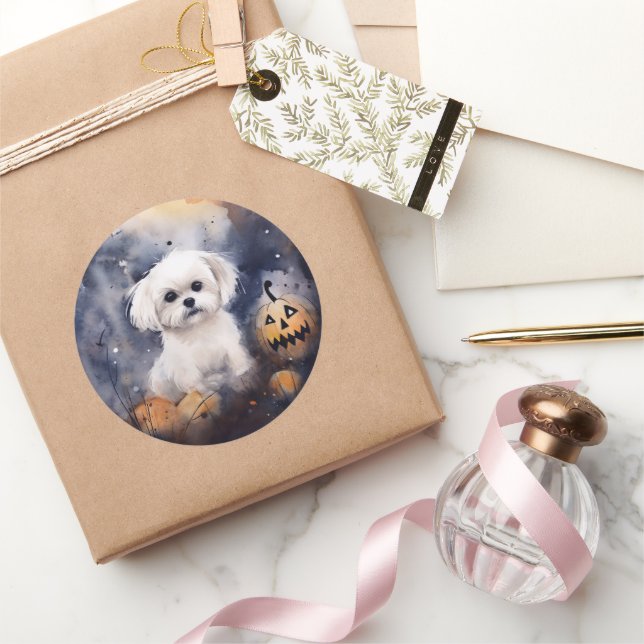 Halloween Maltese With Pumpkins Scary  Classic Round Sticker (Gifting)
