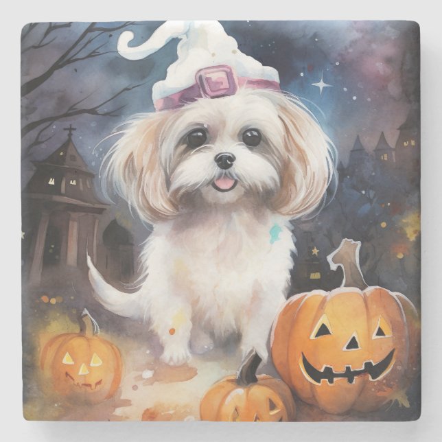 Halloween Malti Tzu With Pumpkins Scary  Stone Coaster (Front)