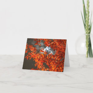 Halloween Night Greeting Card