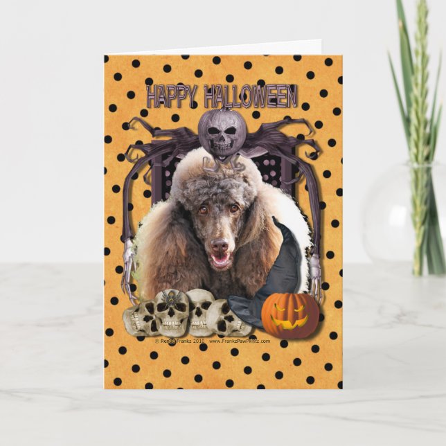 Halloween Nightmare - Poodle - Chocolate Card (Front)
