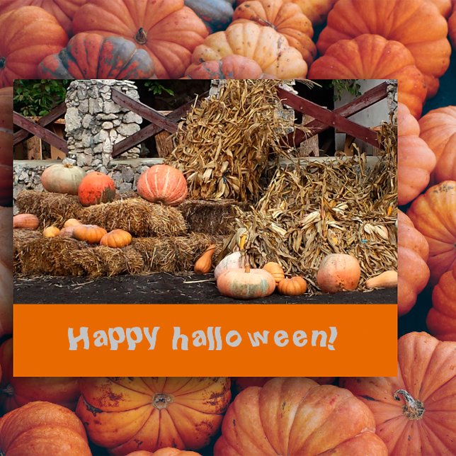 Halloween Orange pumkin rustic Postcard (Creator Uploaded)
