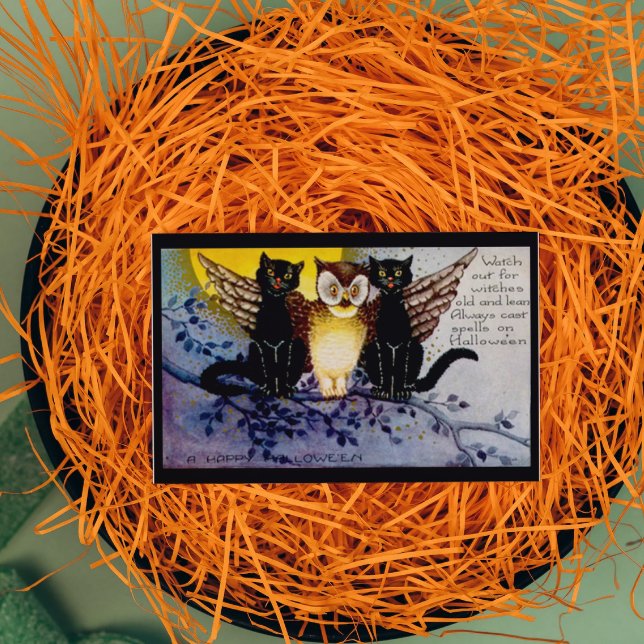 Halloween Owl and Black Cats Card (Creator Uploaded)