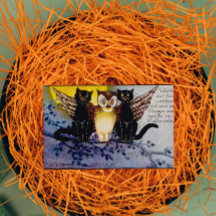 Halloween Owl and Black Cats