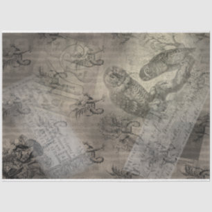 Halloween Owl Family Vintage Ephemera Tissue Paper