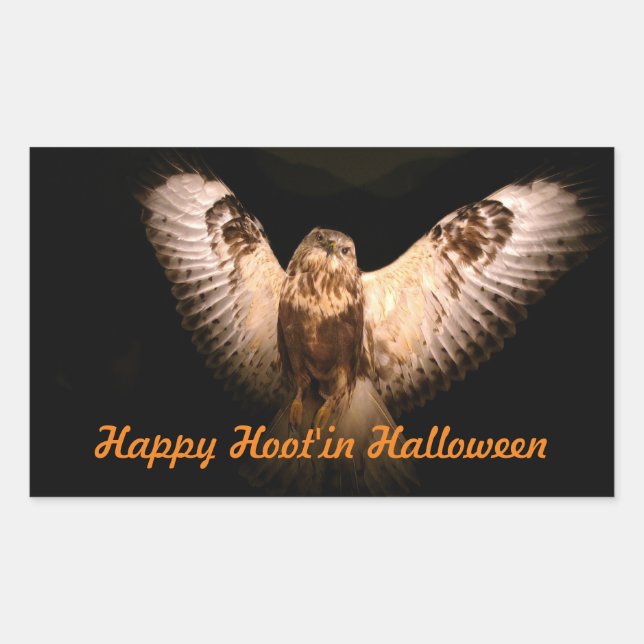 Halloween Owl In Flight Sticker (Front)