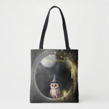 Halloween Owl in Round Tower Window