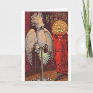 Halloween Parrot and Pumpkin Card