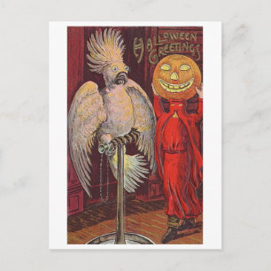 Halloween Parrot and Pumpkin Postcard