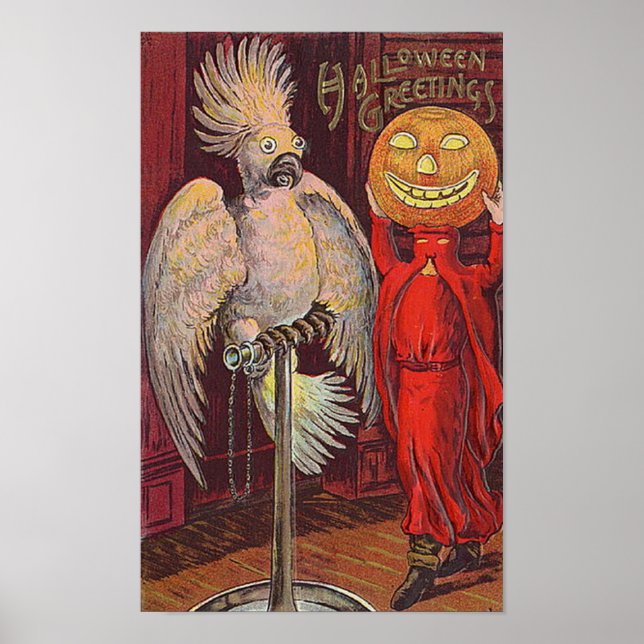 Halloween Parrot and Pumpkin Poster (Front)