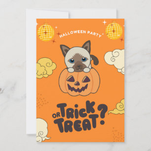 Halloween Party Trick Or Treat Siamese Cat Pumkin  Holiday Card