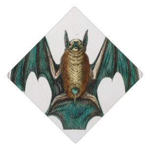 Halloween Personalized Bats Illustration Graduation Cap Topper