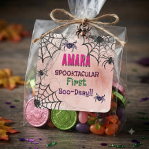 Halloween Pink and spiders Birthday  Halloween 
