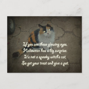 Halloween Poem - Calico Cat Postcard
