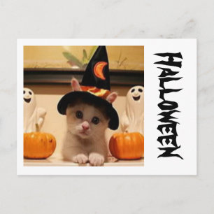 Halloween Post Card